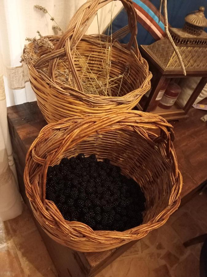 La Casa Dalle Finestre Blu Frühstückspension Abbateggio